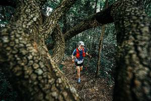 BIB: 
                            <button type="button" onclick="openModal(25392581)" class="btn btn-primary btn-sm float-right btn-popup" data-toggle="modal" data-target=".modal-high-quality">
                        <i class="fas fa-shopping-cart"></i> Add to Cart
                    </button>
                                            <button type="button" onclick="isThisMe(25392581, true)" class="btn btn-success btn-sm float-right btn-popup btn-isme hidden" data-toggle="tooltip" data-placement="bottom" title="นี่คือรูปของคุณใช่ไหม คลิกที่นี่เพื่อเอาเข้าอัลบั้ม">
                        <i class="fas fa-plus"></i> Add to album
                    </button>
                    <button type="button" onclick="isThisMe(25392581, false)" class="btn btn-warning btn-sm float-right btn-popup btn-isnotme hidden">
                        <i class="fas fa-ban"></i> Remove from album
                    </button>